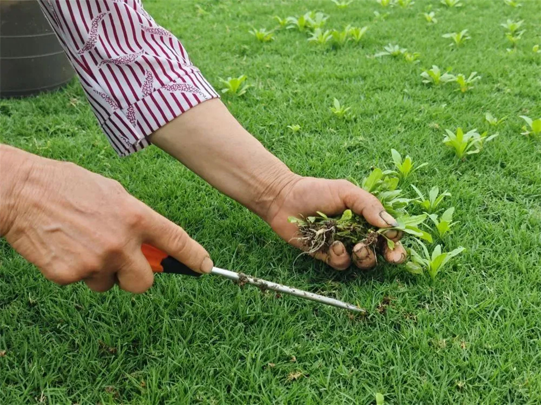 萬豪集團匠心助力，6月齊聚重慶龍興足球場為國足吶喊助威！