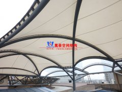 膜結構與膜有什么區(qū)別？膜結構有哪些類別？