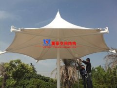 膜結(jié)構(gòu)形態(tài)有哪幾種？分別有哪些特點特征？